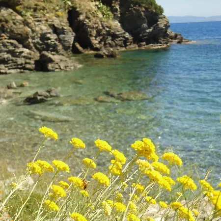 ホテル Rio Sul Mare リオ・マリーナ