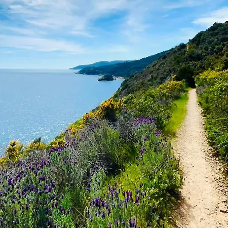 Rio Sul Mare Rio Marina