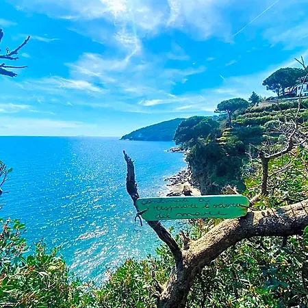 Rio Sul Mare فندق ريو مارينا