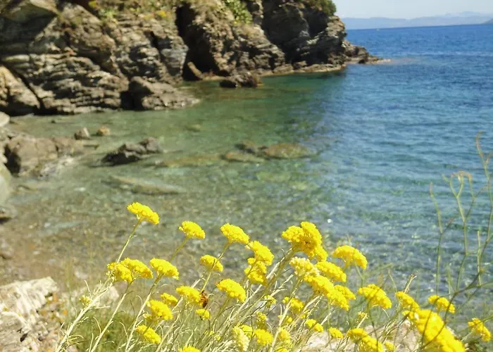 Hotell Rio Sul Mare Rio Marina